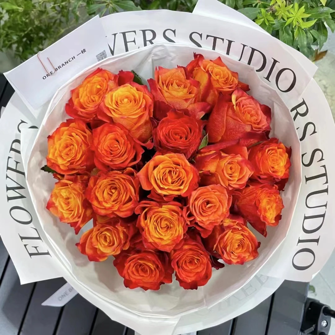 10枝火焰单头玫瑰  【两单京东或顺丰空运】云南鲜花