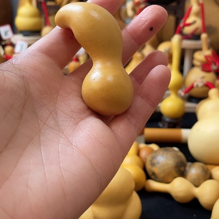 我***过葫芦丝老师在讲道理也挺