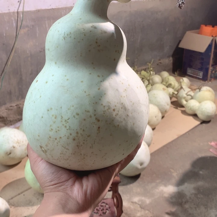 用***1中号现货供应充足
