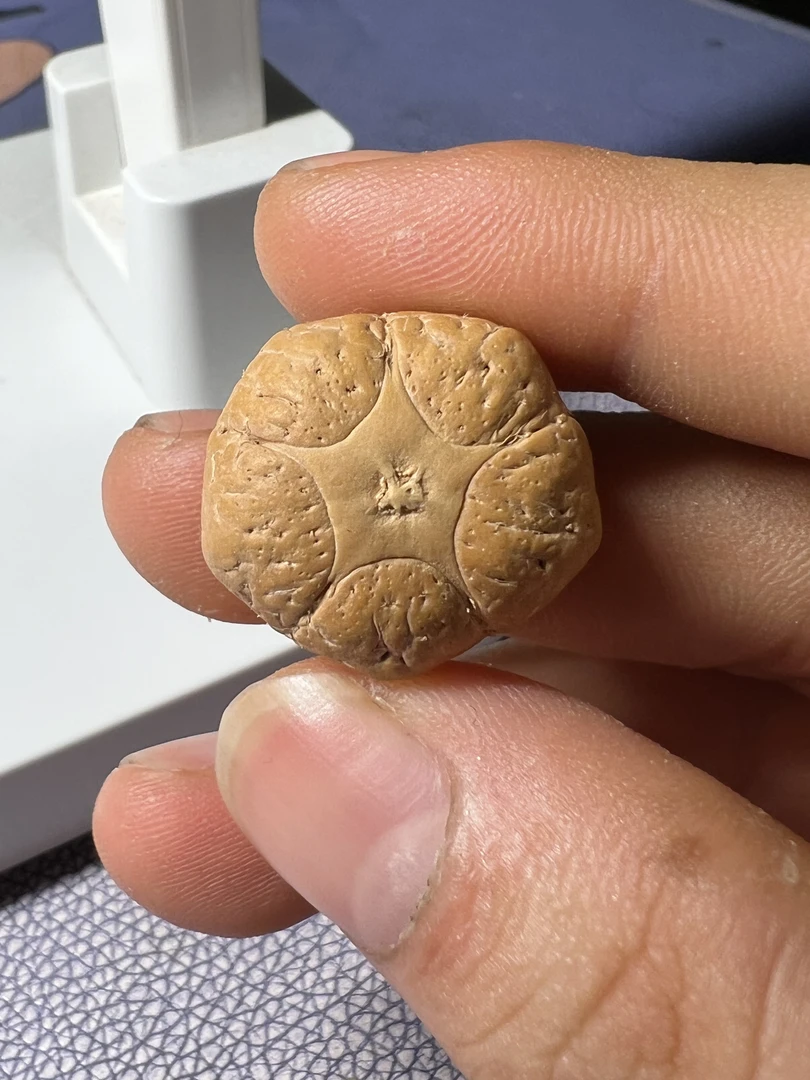 尼泊尔五星上将五星三通尺寸21.7x14.3