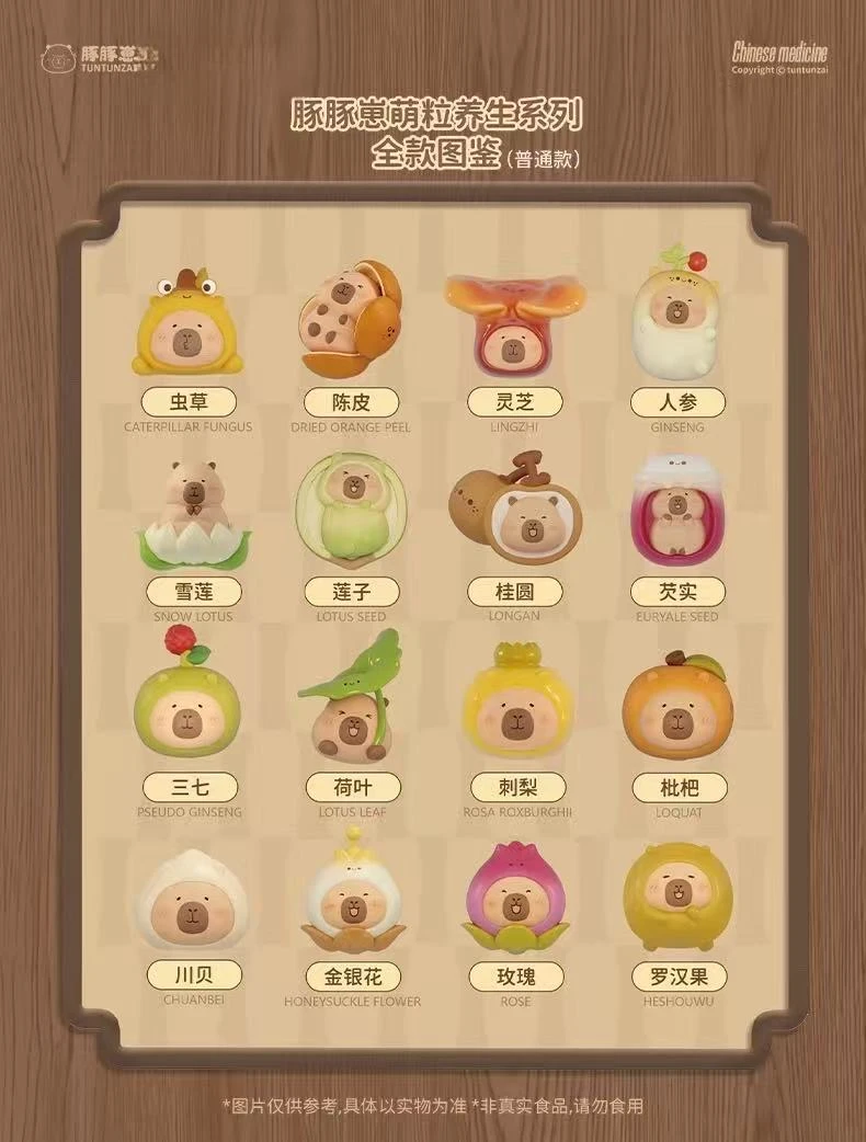 嘻【拆盒】豚豚崽豚济堂本草集养生萌粒盲袋手办可爱迷你桌面摆件