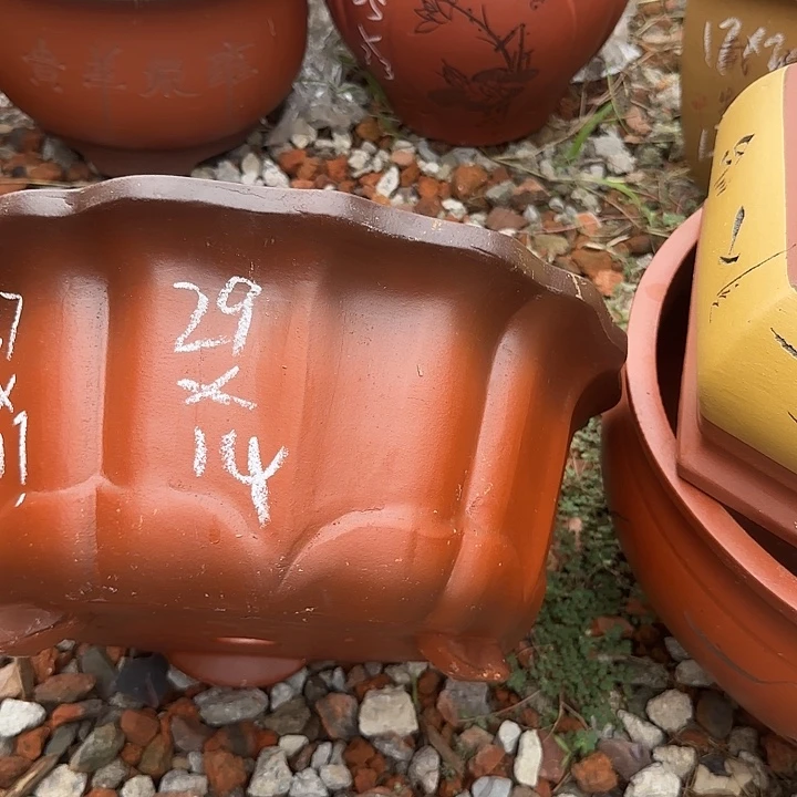 紫砂花盆紫砂花盆