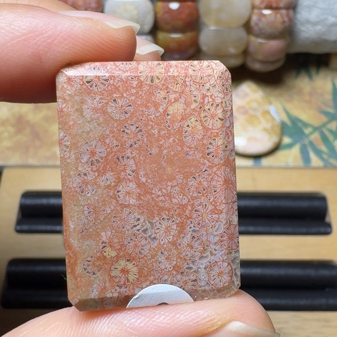 硅化玉故宫的梅花开了未镶嵌