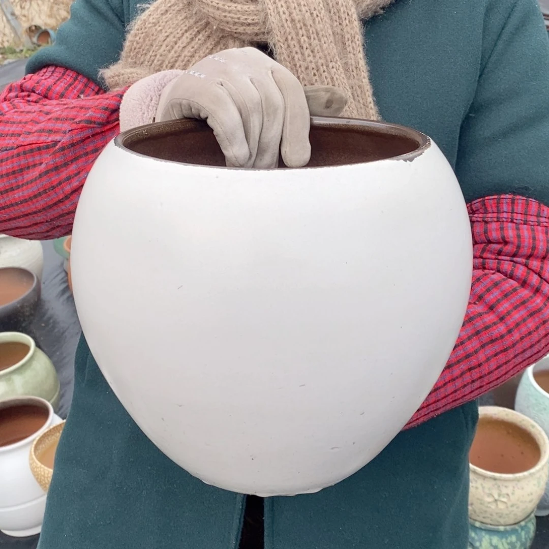 红陶口20高22～～～