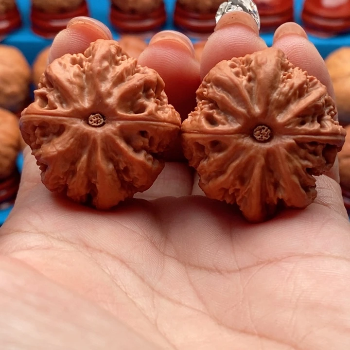 文玩核桃把件蚁王