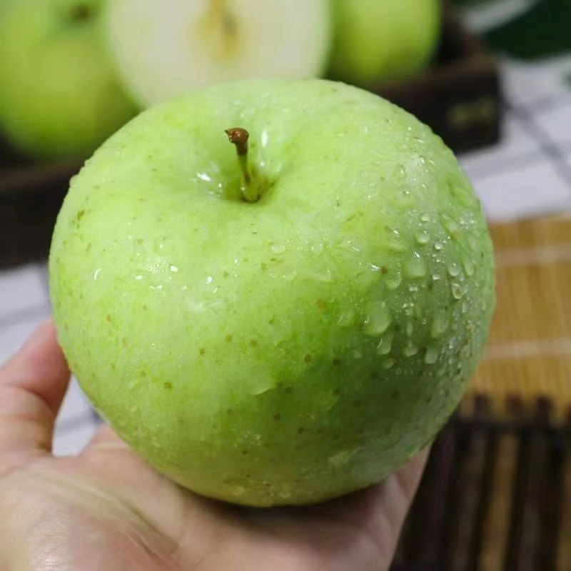 福利（酸脆苹果）新鲜云南昭通老金帅青苹果孕妇水果现摘现发