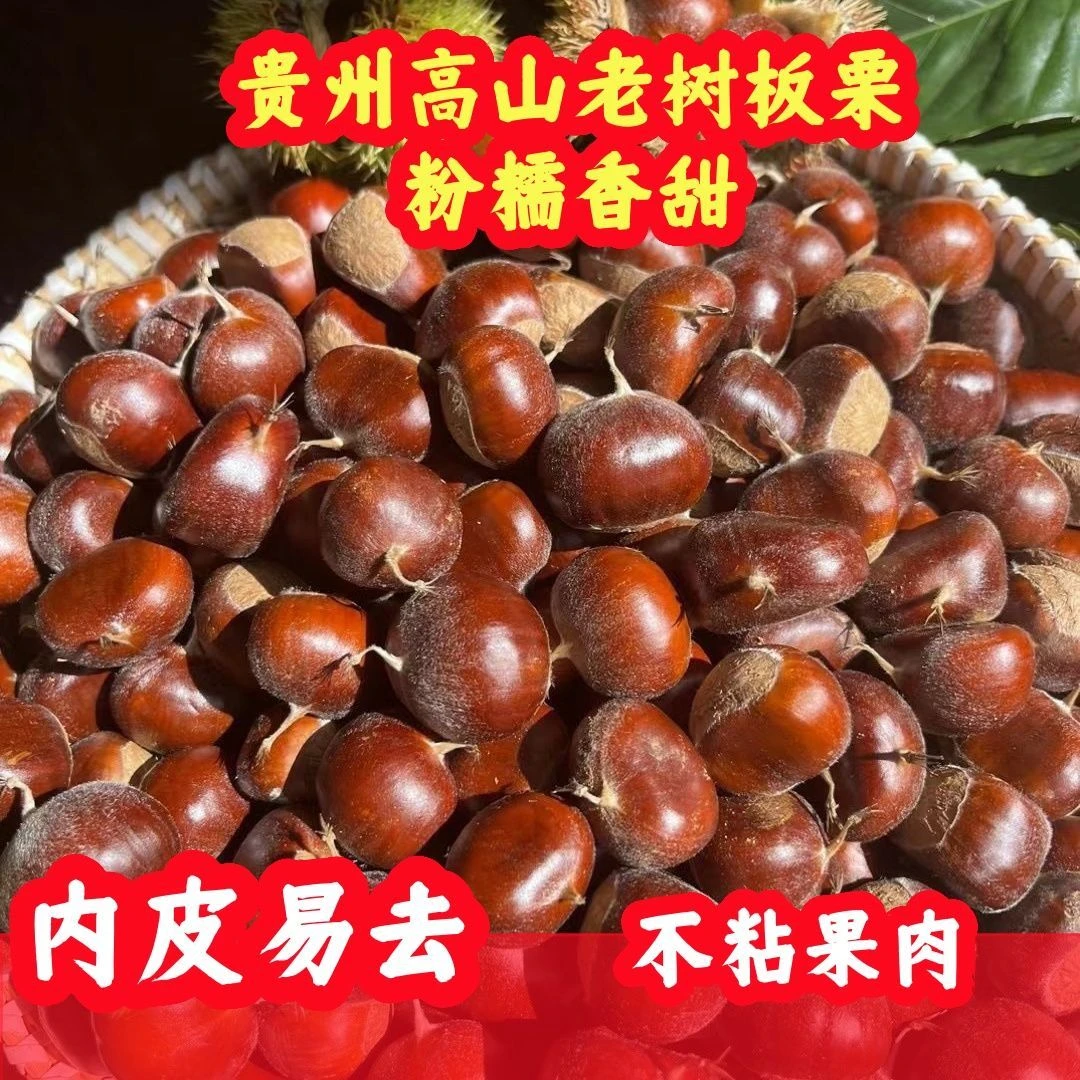 贵州正宗仓更老品种新鲜现摘香甜板栗可做菜煲汤口感甜糯