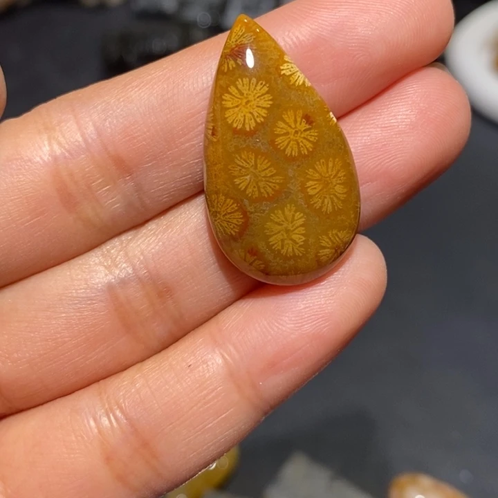 【闪购商品】未镶嵌珊瑚玉硅化玉