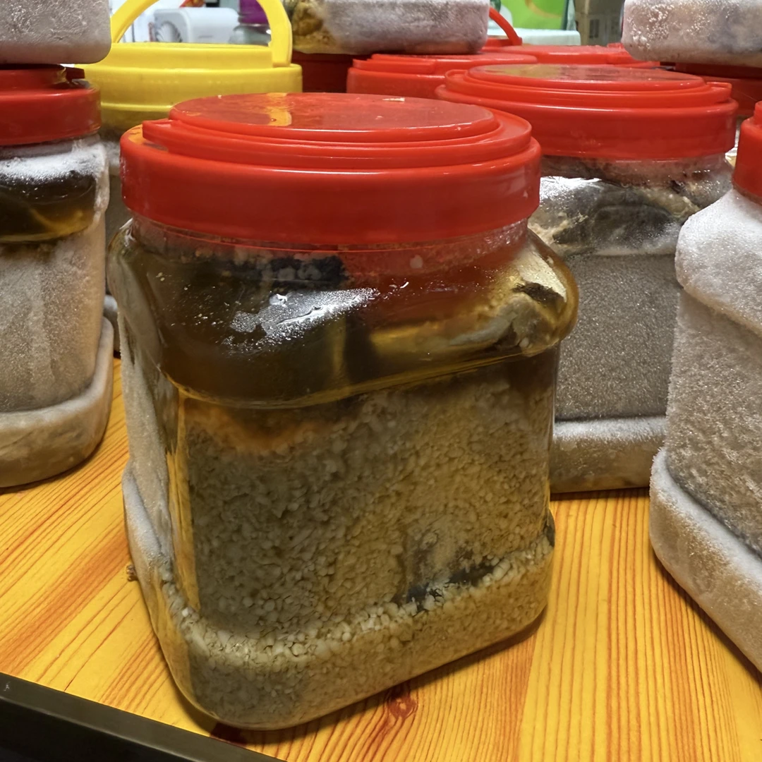 舟山海鲜酒糟马鲛鱼净重两斤