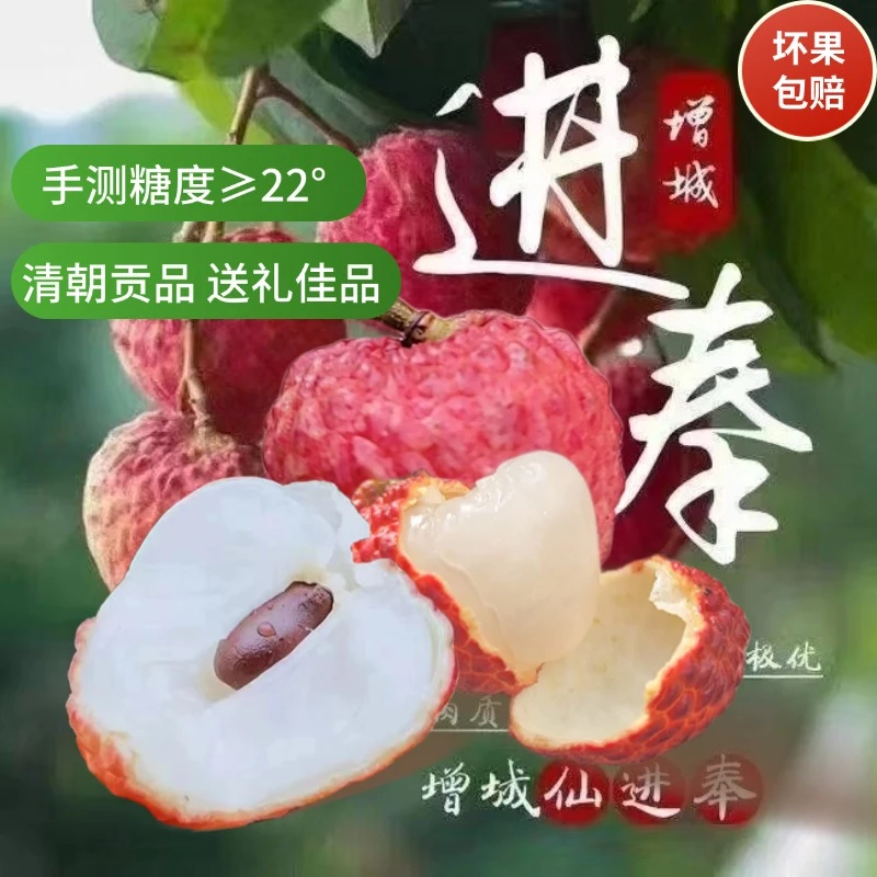 【5斤装】增城仙村仙进奉荔枝清朝进贡荔枝现摘现发冷链发货