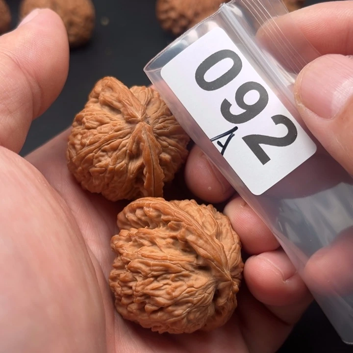 把件桃核白狮子40个