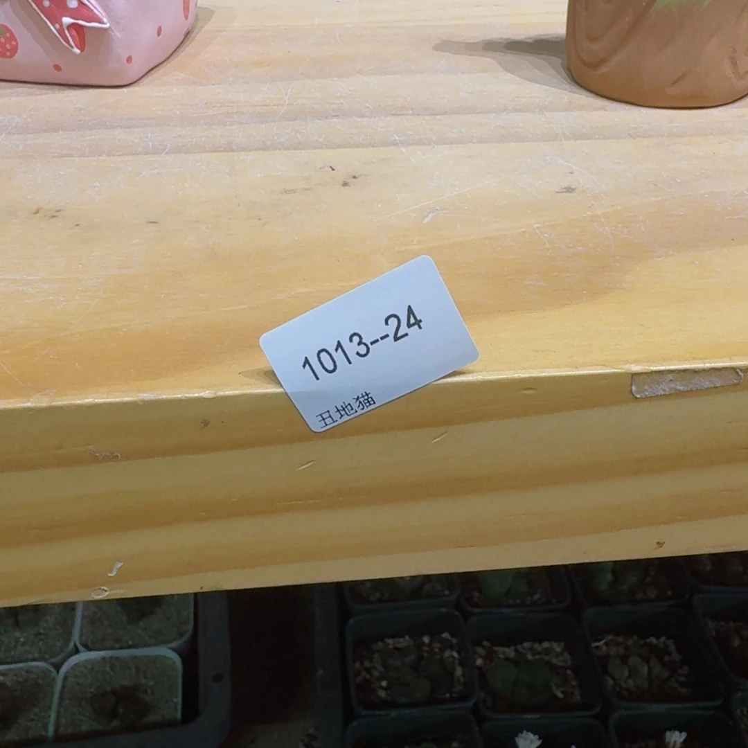 a***e1013-024卷卷卷卷卷j