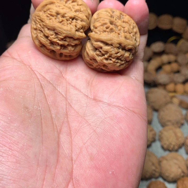 桃核把件九龙37九龙
