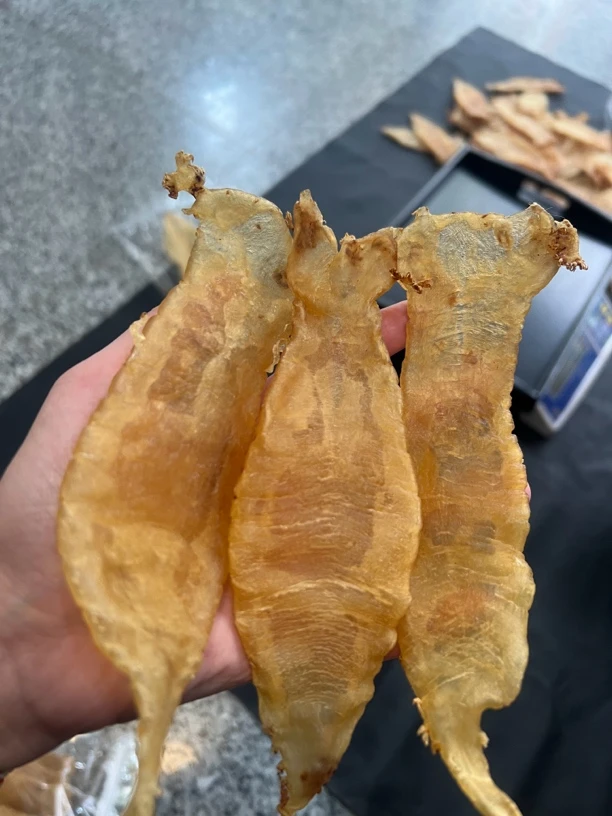 本港赤嘴公胶鱼胶20头花胶干货