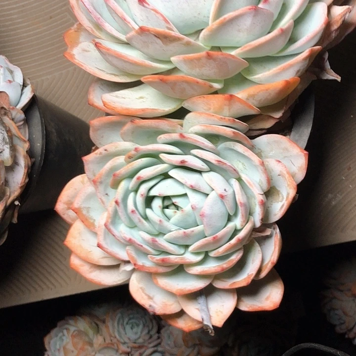 若***0122///////////////