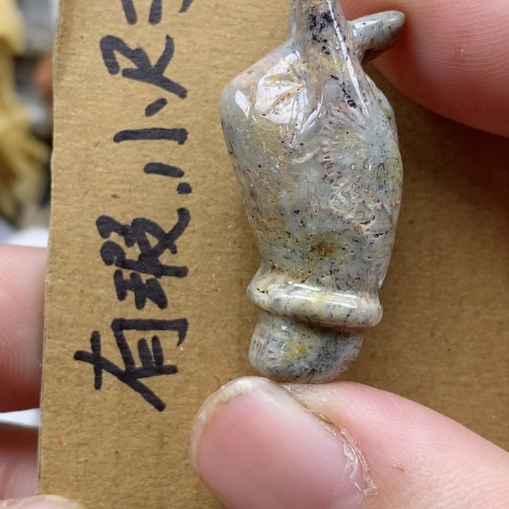 颈饰未镶嵌硅化珊瑚（珊瑚玉）