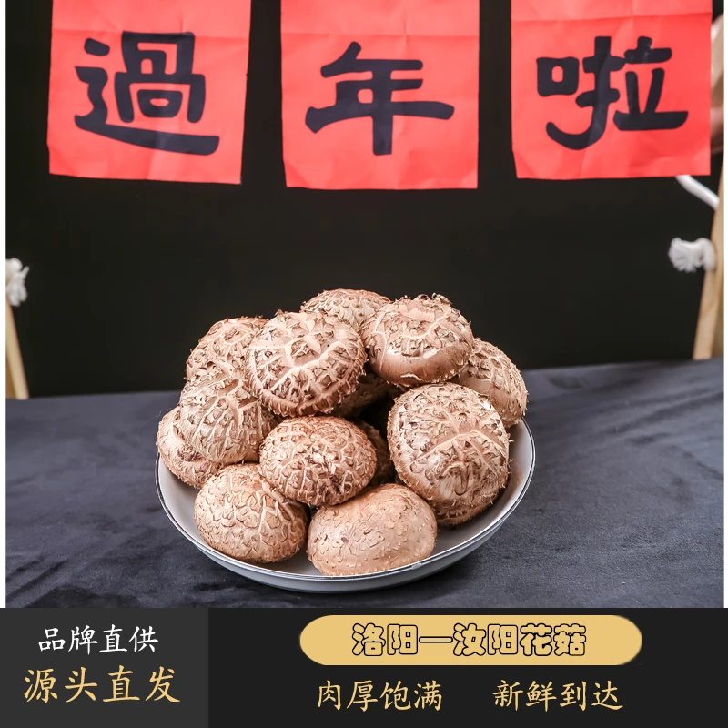 【花菇香菇农产品】香浓新鲜香菇新鲜花菇冬菇现摘现发肉厚味美