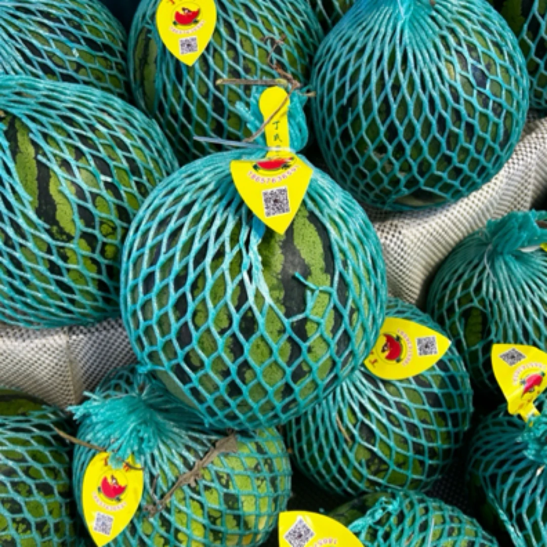 万新店丁氏麒麟西瓜一个6.8-8.5斤