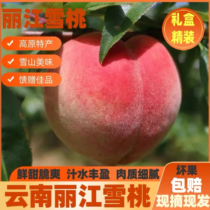 顺丰空运云南丽江雪桃中秋送人送礼应季水果纯甜爆汁礼盒装