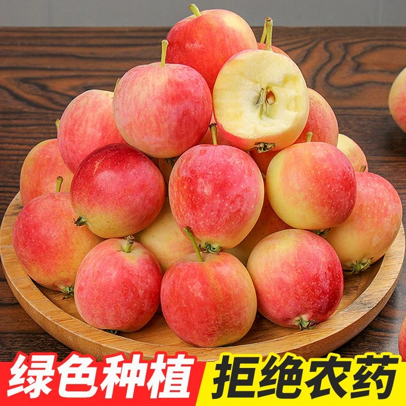 【顺丰包邮】东北K9小沙果酸甜多汁新鲜现摘脆爽营养1-5斤装果园