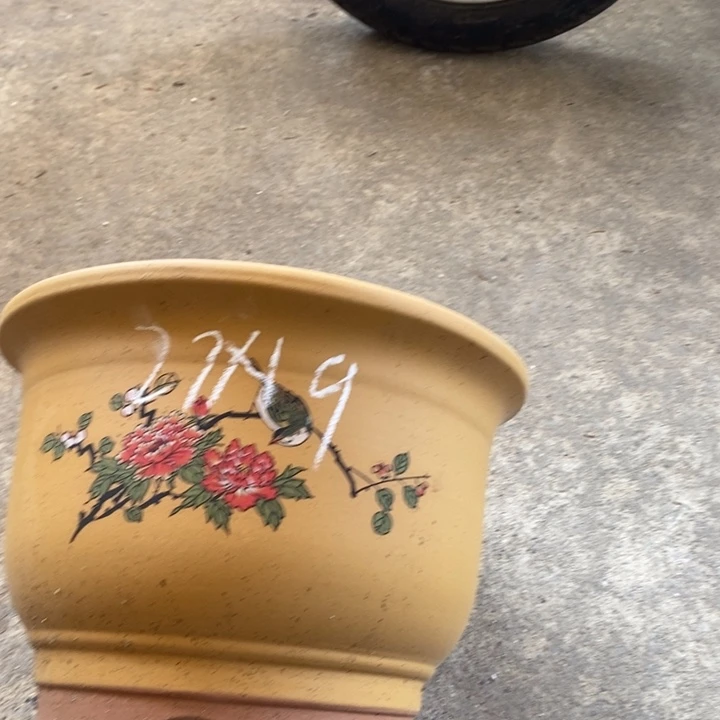 紫砂花盆紫砂花盆盆栽植物花卉苗木种植