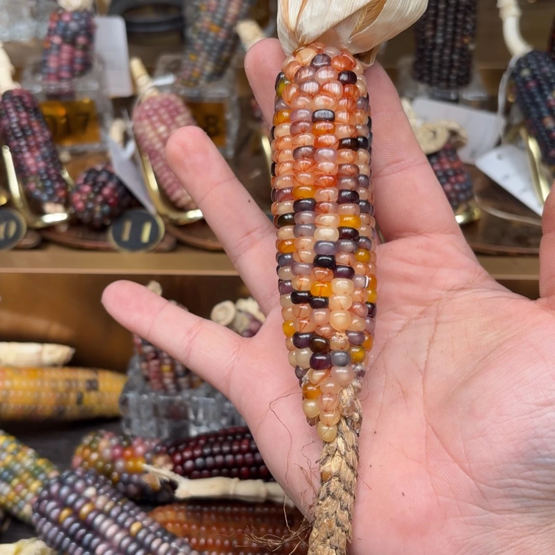 柏香籽/百香籽吊坠莎**儿