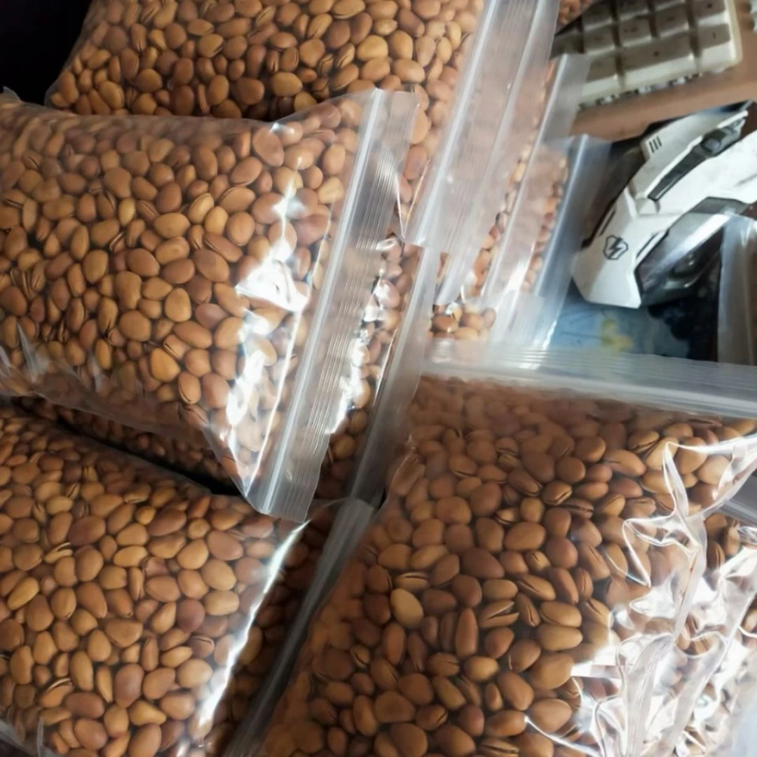 东北松子现炒新货年货坚果零食