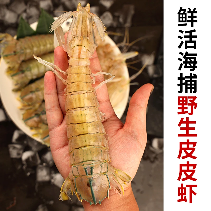 新鲜皮皮虾 北部湾爬爬虾鲜活蒸熟速冻发货
