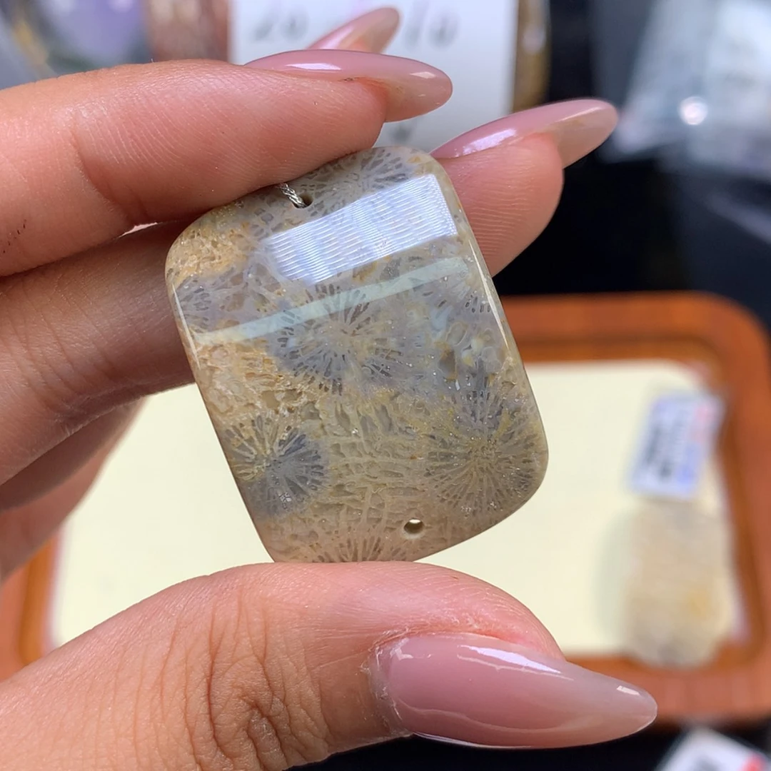 【闪购商品】颈饰未镶嵌硅化珊瑚（珊瑚玉）太****阳