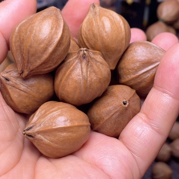 諨***橄榄核手串/手链橄榄核四花2.7左右