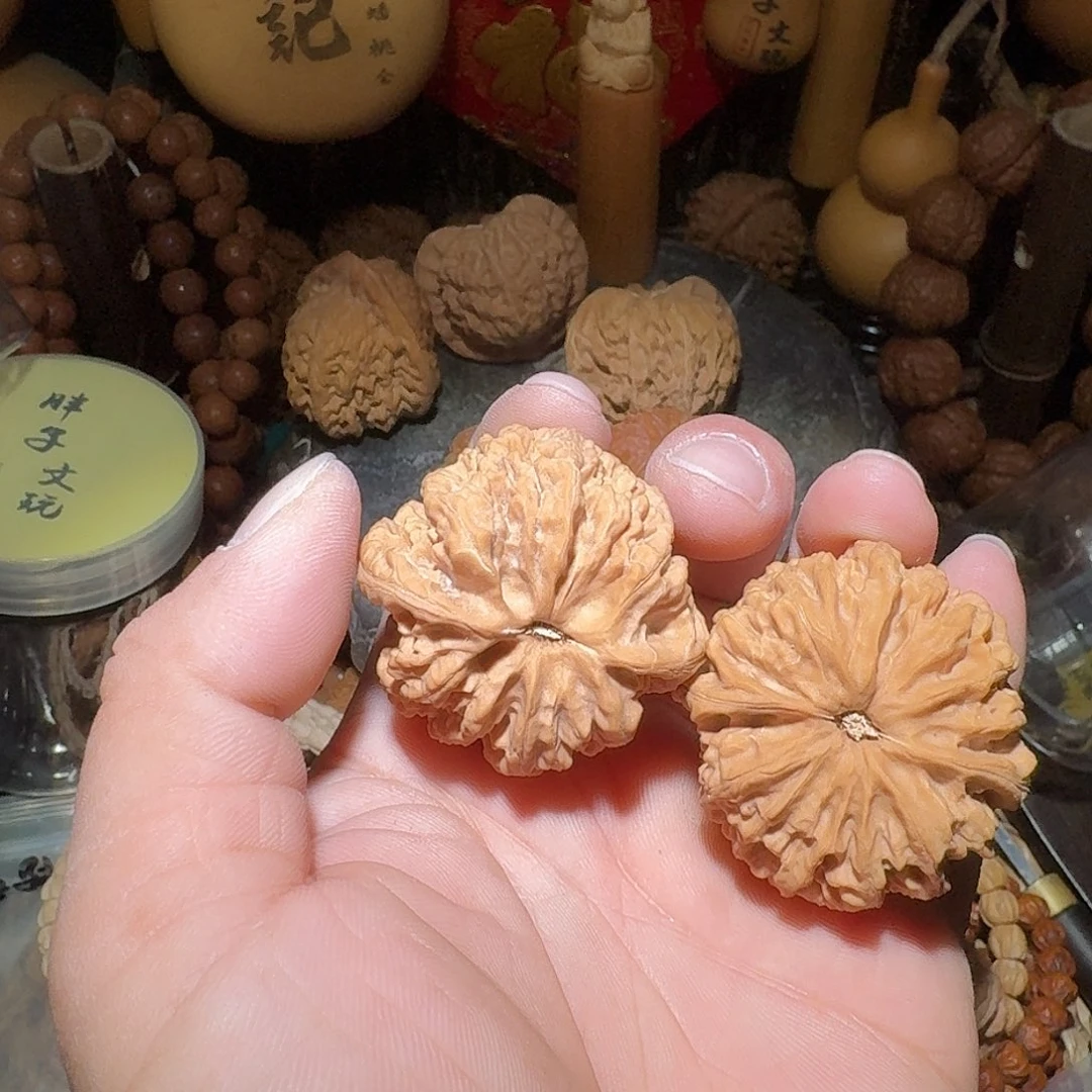 春***行核桃小众 碎纹狮子