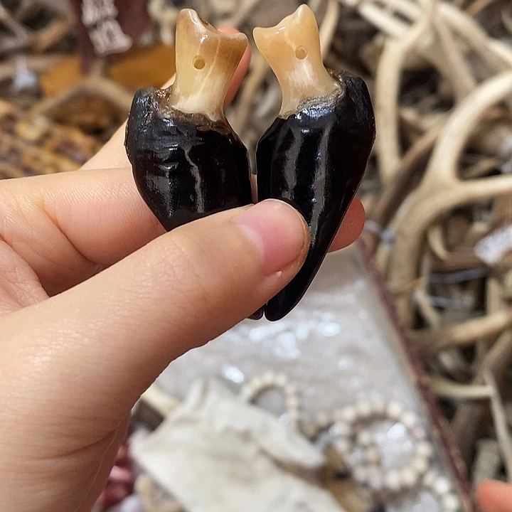 无非金属鹿蹄鹿蹄