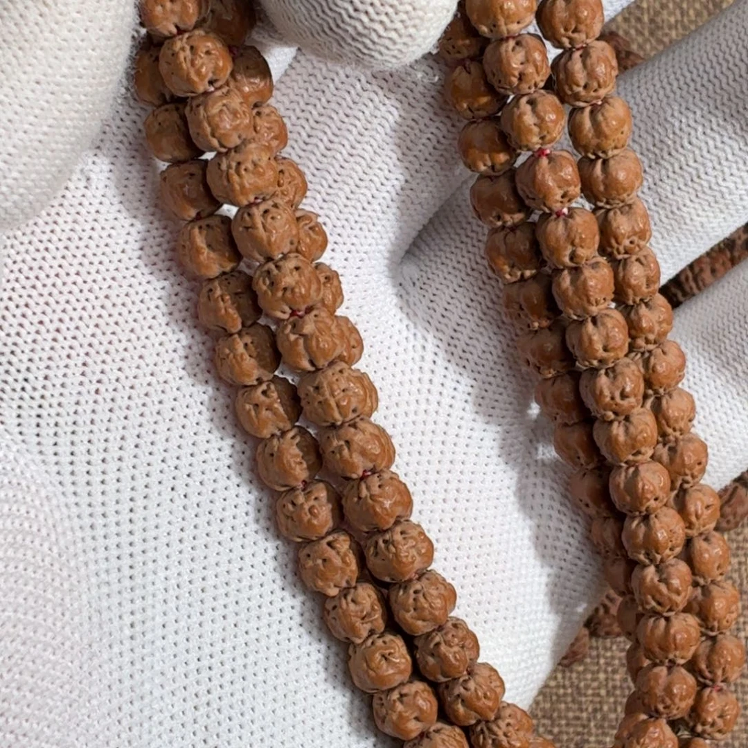 吊坠金刚菩提梵爪五爪金龙