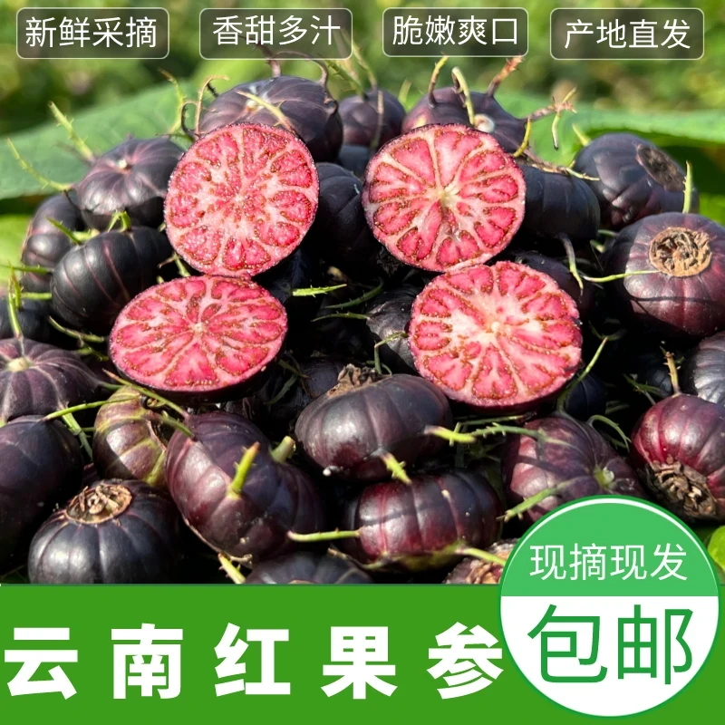[特大果福利]云南红果参算盘果蜘蛛果爆款稀有水果孕妇可食新鲜