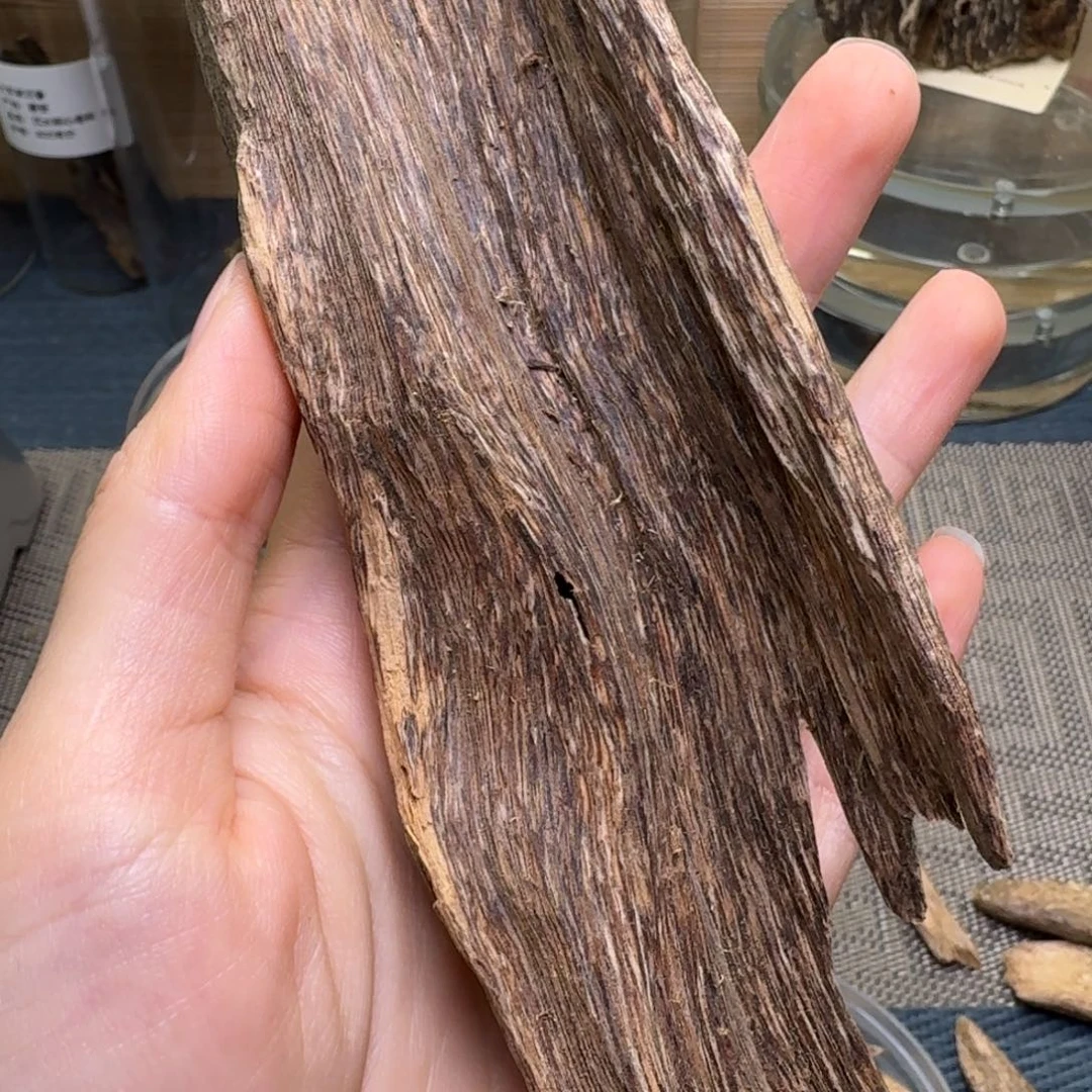 S****木海南大山虫漏46克福利