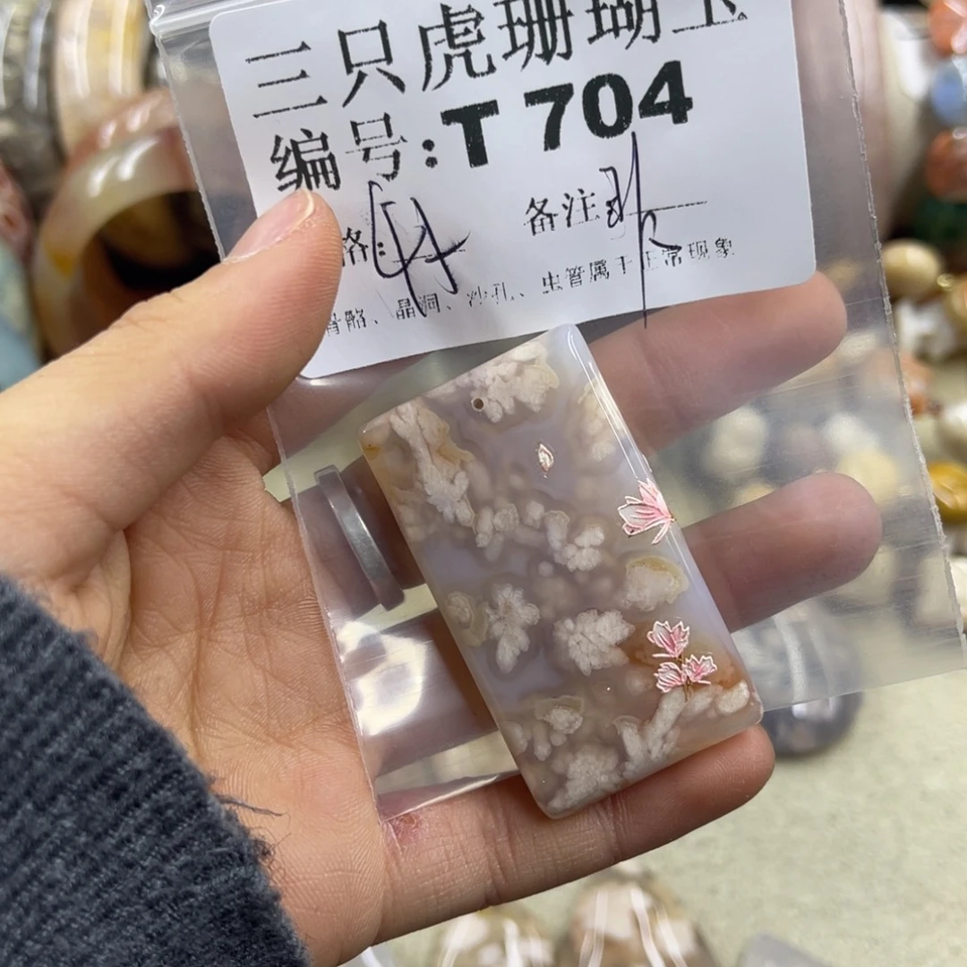 阿***学硅化珊瑚（珊瑚玉）未镶嵌h