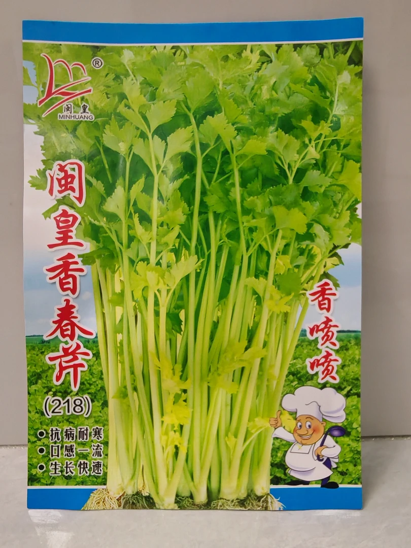 黄心香芹种子实心芹菜种籽小香芹菜籽青菜春秋种植盆栽种籽棚栽