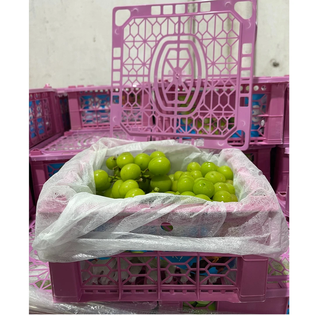 【顺丰送上门】新鲜阳光玫瑰葡萄礼盒净重2斤当季水果脆甜多汁葡萄广西壮族自治区