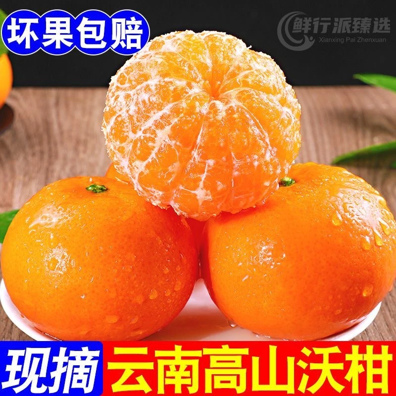 云南高原沃柑新鲜水果纯甜多汁现摘现发柑橘应季水果产地直发9斤