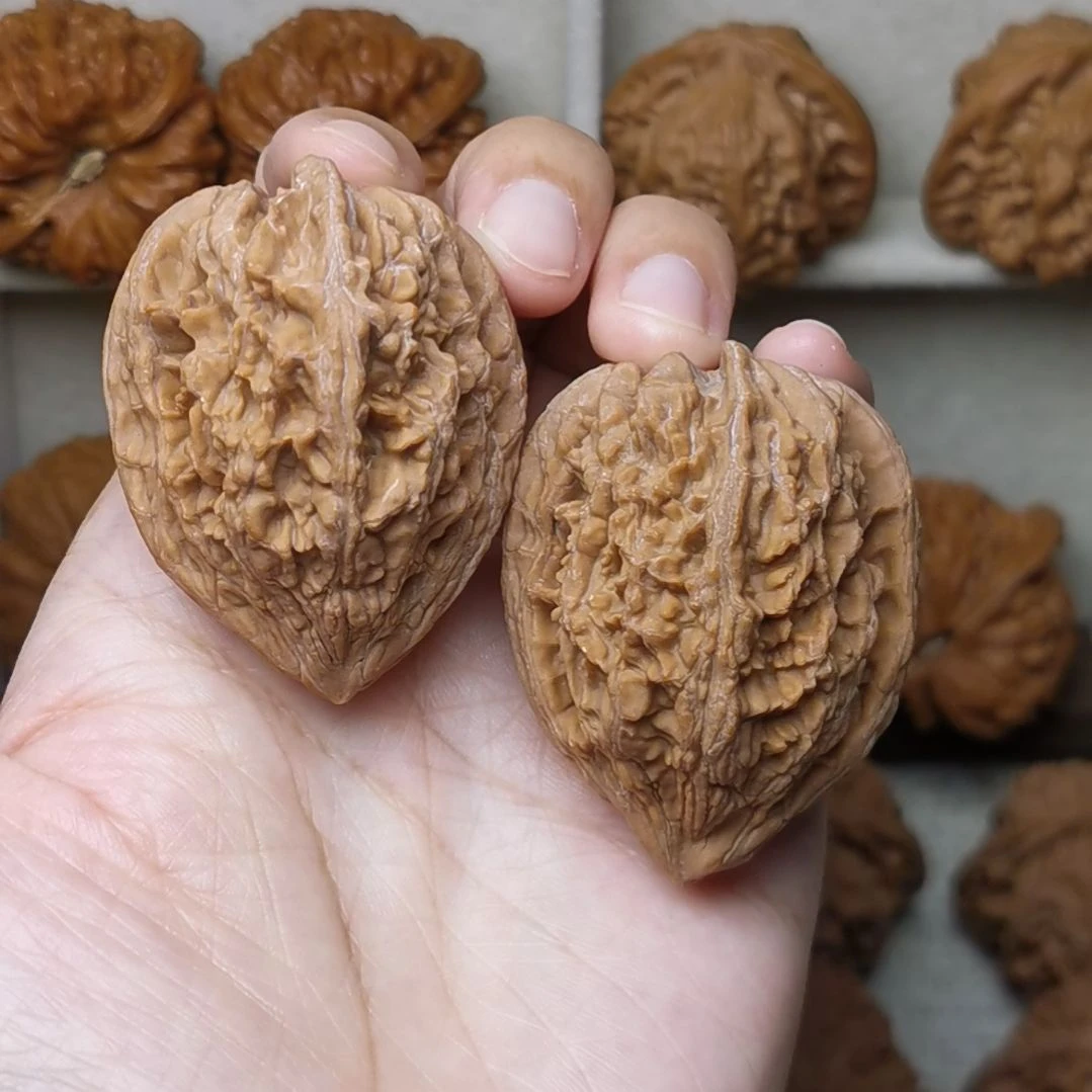 39尺全品大沽石 超精文玩核桃