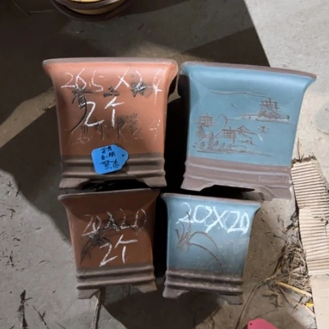 紫砂花盆       100-4 红蓝