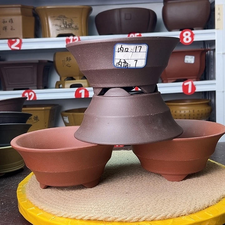 紫砂花盆蛇年大吉