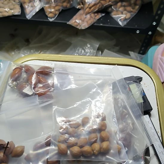 基***睿橄榄核吊坠蜜桃散籽