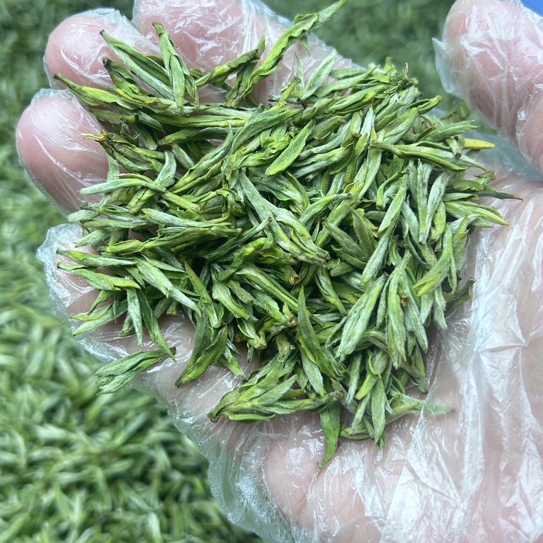 2025年新茶毛峰浓香耐泡