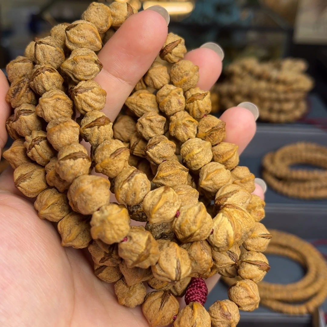 柏香籽/百香籽吊坠12+mm原装横打红芽