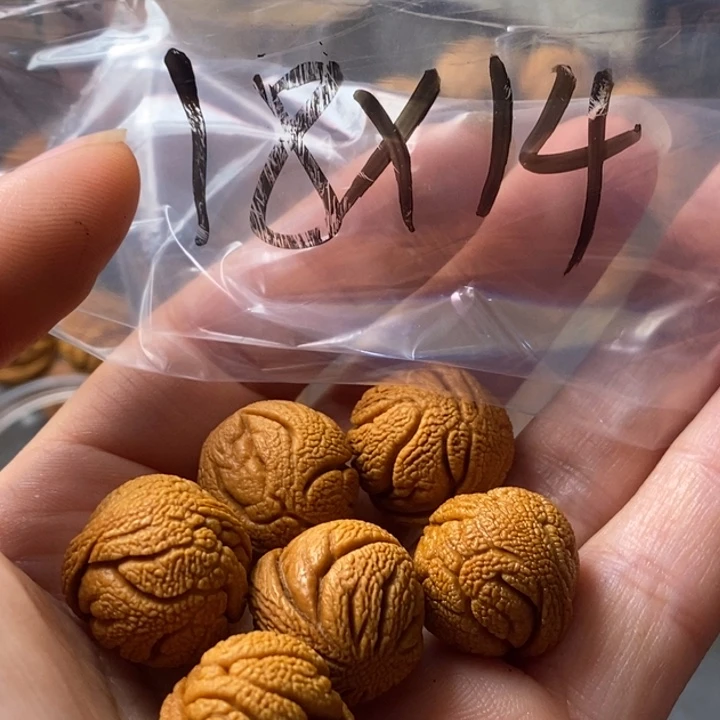 文玩核桃手串秦岭野生龙纹桃核18