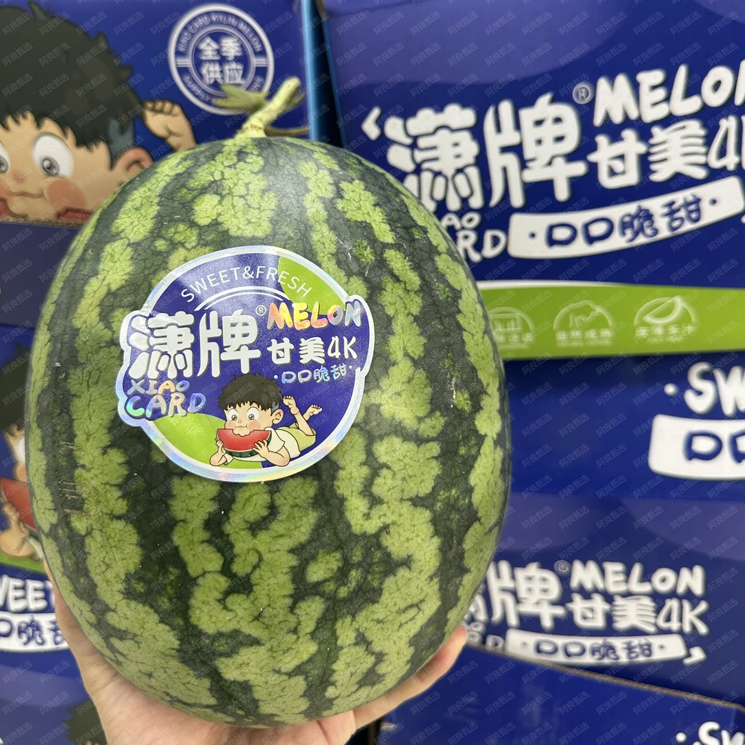 【坏果包赔】甘肃潇牌甘美4k西瓜1个装5斤起顺丰包邮
