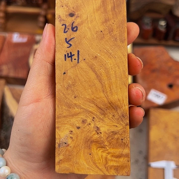 木鬼柳尖叶木栖榄