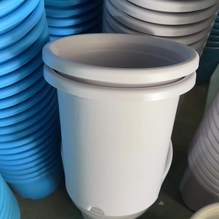 特价7号6个无托浅紫色