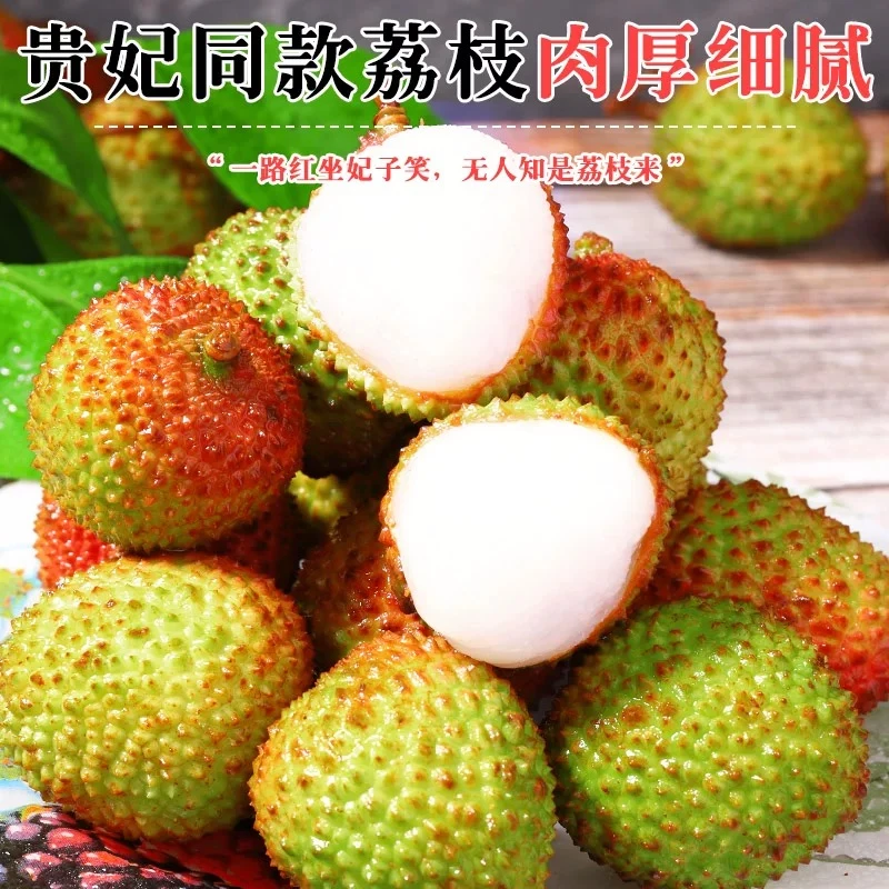 顺丰冷链廉江妃子笑荔枝新鲜当季现摘老树大果核小肉厚香甜3斤装